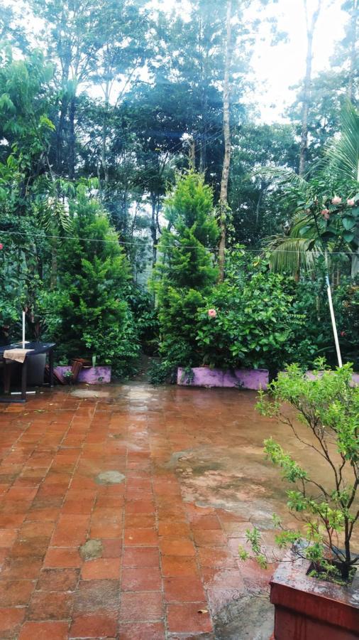 Dreams Home Estate Stay Suntikoppa Exterior foto